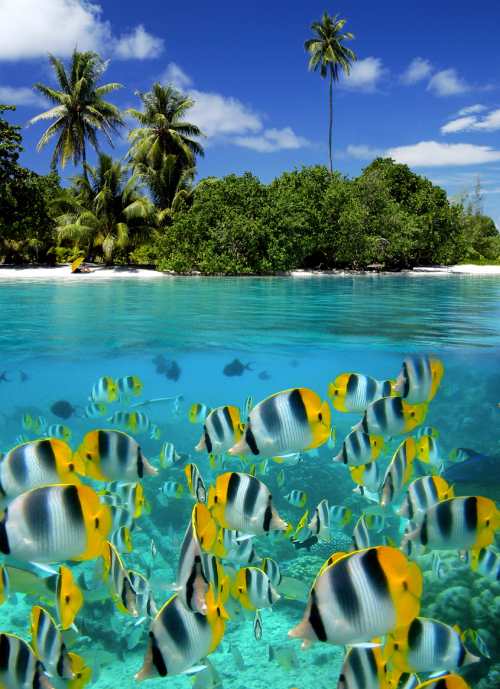 جزر المالديف