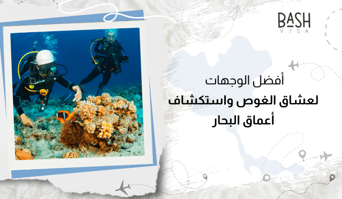 أفضل الوجهات لعشاق الغوص واستكشاف أعماق البحار